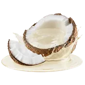 Organic Virgin Coconut Oil