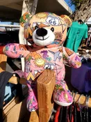 Arizona Bear