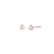 0.25cttw Round Diamonds in Three Prong Martini Earrings