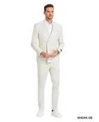 2 PC Double Breasted Solid Suit