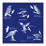 Birds of Prey Bandana