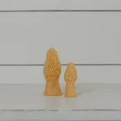 Beeswax Morel Candle