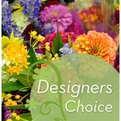 Everyday Designers Choice 55