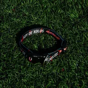 COLLAR PARA PERRO PUR #PERRO AMOR