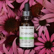 Echinacea Tincture - 1 oz