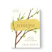 The Story of Joseph