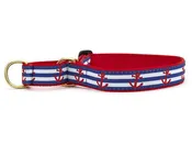 Anchors Away Martingale Collar