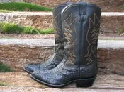 Caiman Crocodile Hornback Black