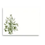 Alexa Pulitzer - Christmas Bush Scroll - A2 Notes