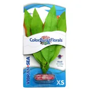 CB-162-GR – Vibran-Sea® Color Burst Florals® Amazon Sword