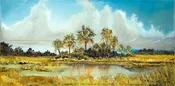 Behind Kiawah