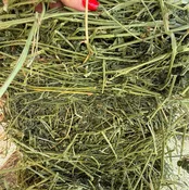 #2 Alfalfa $16.50