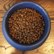 Lamb & Brown Rice Dog Food (per lb)