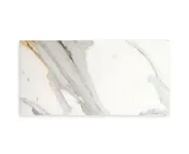 12 x 24 | Calacatta Gold