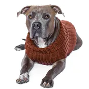 Brown Zoo Sweater