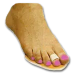 Budin Splint - Single Toe