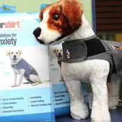 Thundershirts
