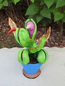 Glendora - the Spring Succulent