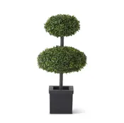 2 Disk Boxwood Topiary Tree
