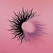 AFI - Silver Bleeds the Black Sun...