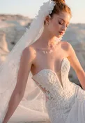 Chapel Length Veil with Wisteria Strands