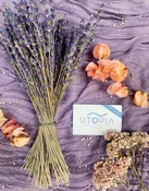 Lavender + Massage Gift Set — In The Meadow
