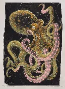 "2-Spot Octopus" Giclee in Pink