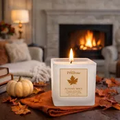Autumn Spice Seasonal Candle *The Fall Candle is back!