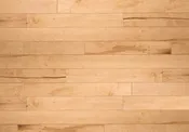 Calpso Hard Maple