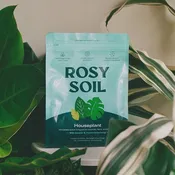 4qt Organic Potting Soil Mix