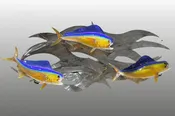 3 Mahi Mahi Wall Sculpture