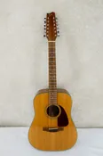 Fender F 310 -12 1980's  - Natural with Gig Bag