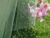 Cut Edge Illusion 1 Tier Chapel Length Veil Wedding Veil Floor Length