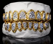 2Tone Diamond Cut Gold Grillz - DQ1012C