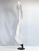 Bleached Sculpture #15 — Cocoon Gallery