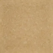 Custard