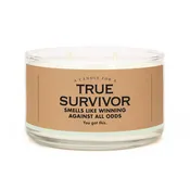 A Candle for a True Survivor | Funny Candle | Sympathy