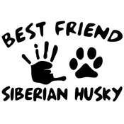Best Friend Siberian Huskey