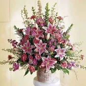 Pure Pinks