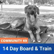 14-Day Board & Train Program – Community K9