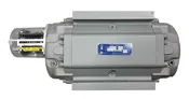 11M175CTR-SSM Roots Gas Meter