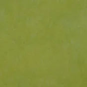 0650 Moss Half Yard