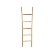 Bamboo Ladder
