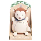 Ethan the Hedgehog Activity Toy