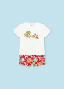 Baby Boys 2-Piece Swim Outfit