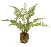 8-1/2” Soft Fern Drop In