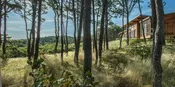 Ballston Beach — LeBlanc Jones Landscape Architects
