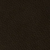 22 Longlife Rustika Teer Leather Swatch