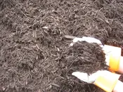 Brown Mulch