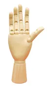 Articulated Wooden Male Hand
